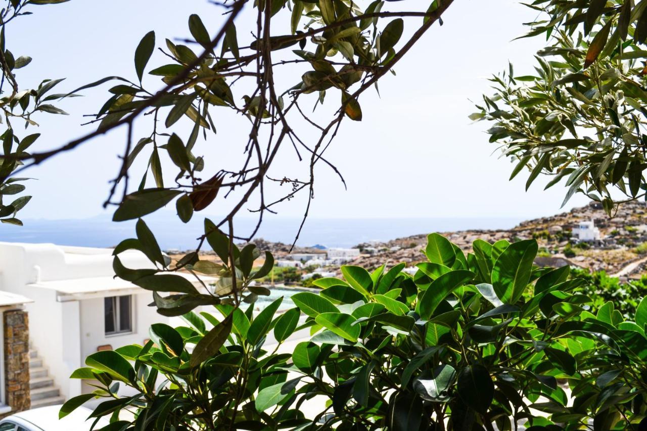 Elma'S Summerhouses Mykonos Town Kültér fotó